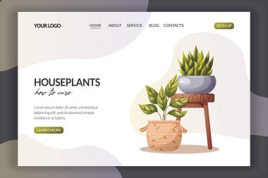 Herhangi bir modern web sitesi şablonu için ev bitkileri. Tahta taburede duran sulu ve yeşil bitkilerle dolu bir web sayfası. İzole tasarım elementleri. İnternet sitesi ve tanıtım için mükemmel. Vektör illüstrasyonu.