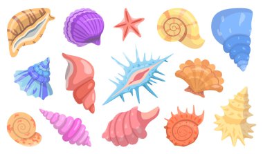 Renkli deniz kabukları, inci kabukları, deniz kabukları, deniz kabuğu, deniz tarağı, denizyıldızı koleksiyonu. Okyanus altı vahşi yaşam seti. Yaz tropik plaj konsepti. Sucul doğası. Düz izole vektör illüstrasyonu.