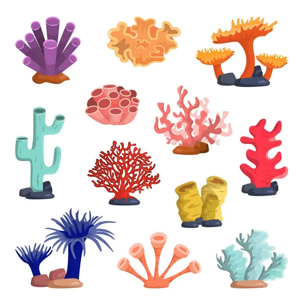 Okyanus mercanları, deniz şakayıkları ve yosun koleksiyonu. Renkli mercan resifi flora ve fauna. Su altı yosunları hazır. Akvaryum deniz bitkileri konsepti. Deniz altı yaban hayatı. Düz vektör illüstrasyonu.
