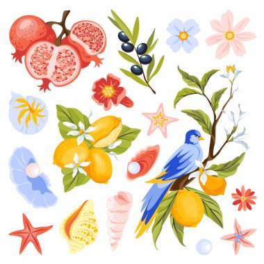 Akdeniz yaz koleksiyonundan esinlenilmiş nesneler. El yapımı Amalfi temalı set arasında nar, limon dalları, zeytin, istiridye, deniz kabuğu, mavi kuş ve çiçekler yer alıyor. Düz vektör illüstrasyonu.