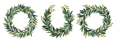 Siyah zeytin ve yapraklı yuvarlak çelenk koleksiyonu. Zeytin ağacı çemberi çiçek çerçeveleri kuruldu. Yemyeşil zeytin dalları. Zarif düğün dekorasyonu unsurları. Düz vektör illüstrasyonu
