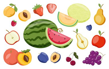 Yaz tatlı meyve seti. Elle çizilmiş karpuz, şeftali, elma, kavun, üzüm, armut, kiraz, kayısı, erik, çilek. Sağlıklı organik gıda ve sulu böğürtlen. İzole vektör illüstrasyonu.
