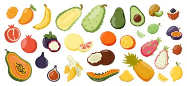 Yaz tropik egzotik meyve seti. Mango, muz, avokado, hindistan cevizi, lychee, nar, maracuja, papaya, ananas ve pitaya meyvesi de dahil olmak üzere bütün ve dilimlenmiş meyve koleksiyonu. Vektör illüstrasyonu
