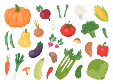 Çizgi film tarzında taze sebzeler. Kabak, domates, havuç, soğan, pancar ve brokoli, turp, lahana, patlıcan, mısır, biber, pırasa, kereviz ve sarımsak içerir. Vektör illüstrasyonu.