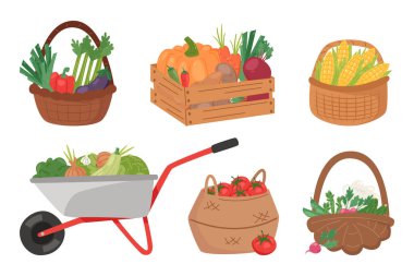 Sepet, sandık ve içi taze sebzelerle dolu el arabası. El yapımı mısır, domates, balkabağı, lahana, turp, havuç, patlıcan ve yeşillik. Taze hasat edilmiş ürün koleksiyonu. Vektör illüstrasyonu
