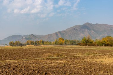 Pakistan 'ın SWAT Vadisi' nin arka planında bulutlarla kaplı yapraklar.
