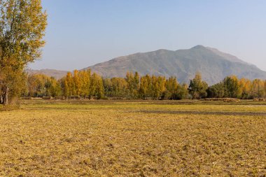 Tarım kışın boş tarlalar