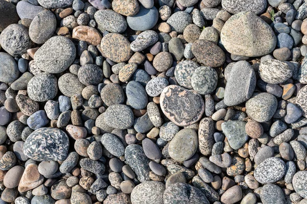 Sea Pebble Beautiful Nature Background — Stock Photo, Image