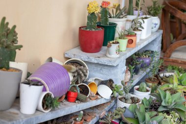 Kırık saksıların pisliklerini temizlemenin ev işleri.