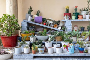 Kırık mermer rafta bir sürü kırık saksı var.