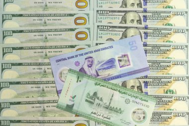 BAE yeni 50 dirhem ve yeni 10 dirhem polimer banknotlar yeni 100 dolarlık banknotlar üzerinde