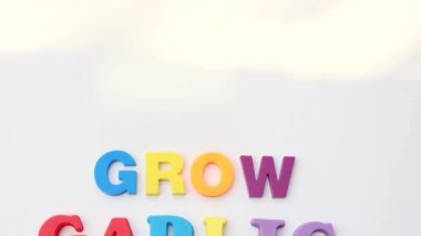 Beyaz izole arkaplanda sarımsak metni büyüt