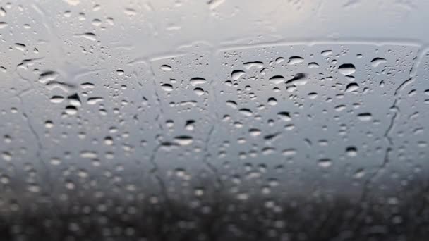 雨季に車両のフロントガラスに降雨します 選択的焦点 — ストック動画