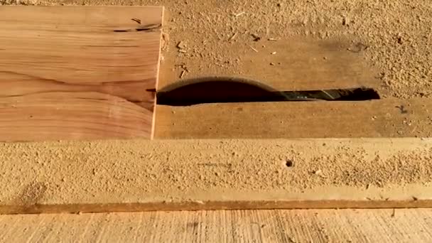 锋利的木片锯断了木料植物 — 图库视频影像