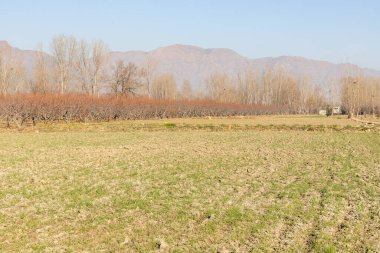 Kışın güzel bir tarla manzarası