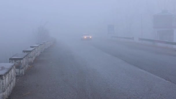 在大雾中上路的车辆 — 图库视频影像