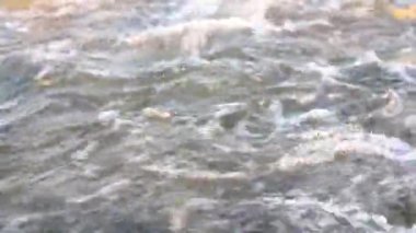 Powerful rapid in the river with speedy water in motion