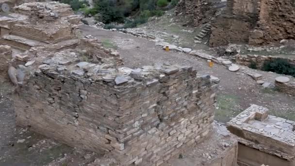 Ruins Buddha Archaeology Site Najigram Valley Barikot — Stockvideo