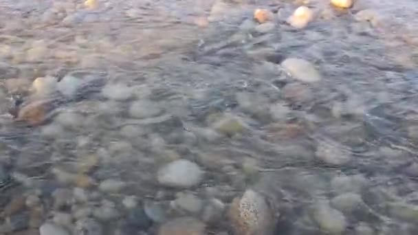 Crystal Clear Clean See Water Clear Pebble River Swat — Vídeo de Stock
