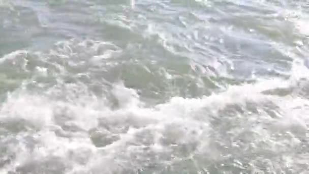 Ισχυρή Ταχεία Στο Ποτάμι Γρήγορο Νερό Κίνηση — Αρχείο Βίντεο