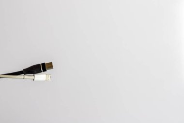 Lighting cable and USB type C cable head isolated on white background with copy space