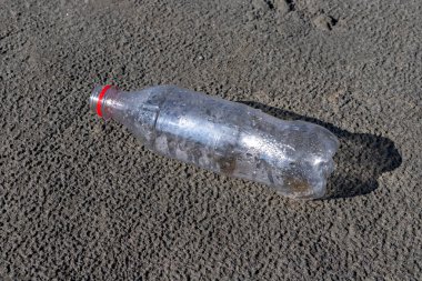 Plastic empty bottle dumped on a beach