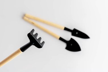 Mini bahçe çatalı beyaz arkaplanda izole