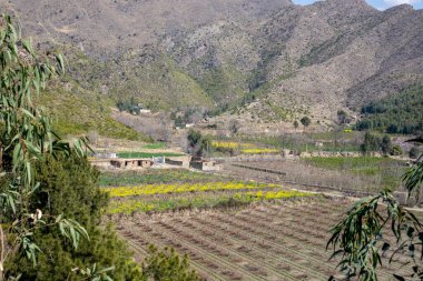 Tarım alanları tepenin zirvesinden güzel hava manzarası.