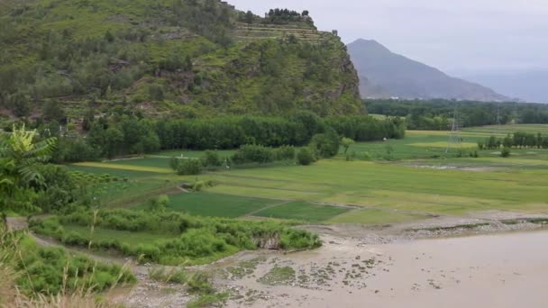 Vista Panorámica Los Campos Trigo Largo Una Orilla Del Río — Vídeos de Stock