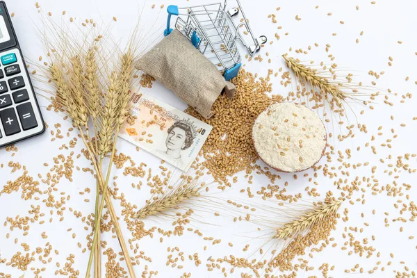 Wheat flour and wheat grain in a brown sack with British pound sterling currency note on white isolated background.