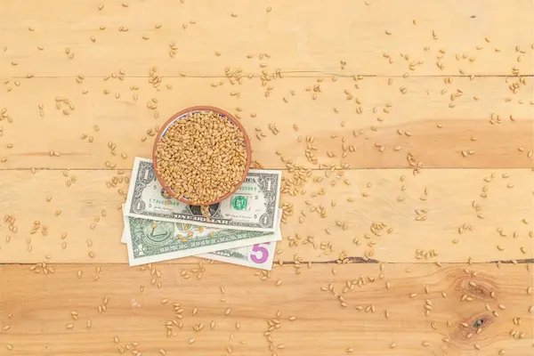 Dollar Mit Weizenschale Globale Weizenkosten Oder Preiskonzept — Stockfoto