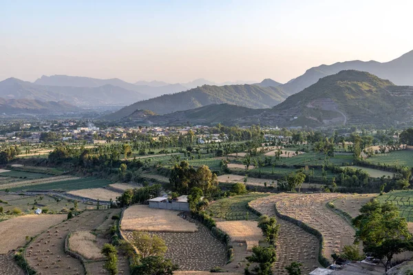 stock image Beautiful scenery view of wheat fields harvested in summer from the mountain