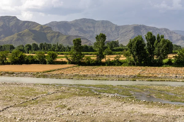 Прекрасный Пейзаж Пшеничных Полей Берегу Реки Сват Пакистане — стоковое фото