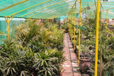 Bakımevi ya da çiçekçi serası.