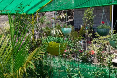 Kavun dizisi asılmış bir tencerede