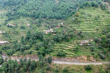 Dağ vadisindeki buğday ekinlerinin güzel manzarası