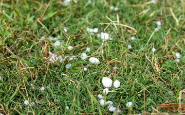 Doludan sonra çimenlikte dolu yağar