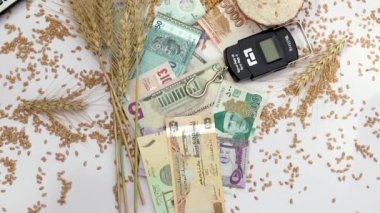 Kahverengi bir torbada buğday unu ve buğday tanecikleri ile dünyanın para birimlerini karıştırmak düz banknotlar. Küresel buğday ticareti ithalat ve ihracat kavramı.