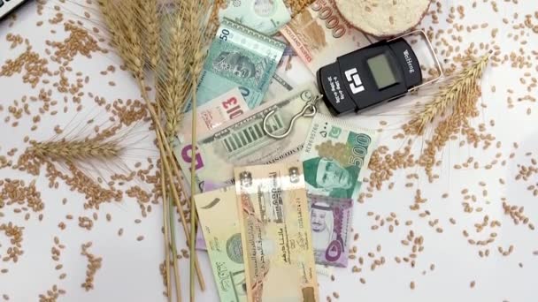 小麦面粉和小麦谷物装在一个装有世界各国货币混合货币的褐色袋子中平铺 全球小麦贸易进出口概念 — 图库视频影像
