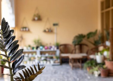 ZZ siyah santrali yakın görüntü bırakıyor