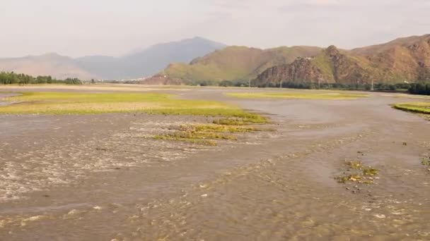 Ryż Paddy Wzdłuż Rzeki Wysoki Kąt Widzenia — Wideo stockowe