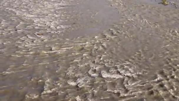 夏天洪水在河里泛滥 — 图库视频影像