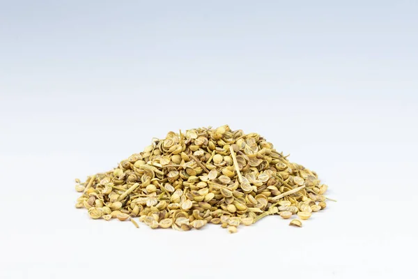 stock image Heap of coriander seeds on white background