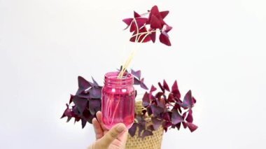 Suyun içinde Oxalis nirengi mor yonca bitkisinin yayılması