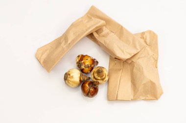 Nergis lambaları beyaz arkaplanda izole edildi