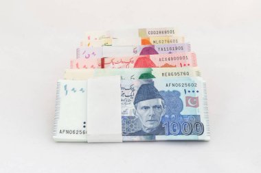 Pakistan para birimi notları beyaz izole arkaplan üzerine demetler