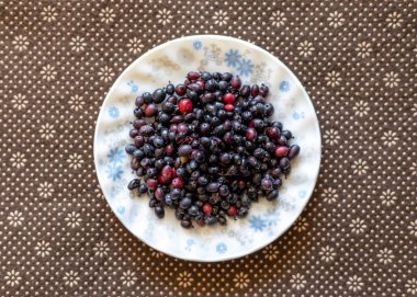 Tabakta Çeşit Çeşit Çeşit Yaban Meyveleri