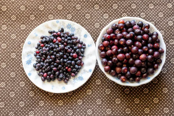 stock image Bilberries closeup in a bowls. Fresh dark berries in plates