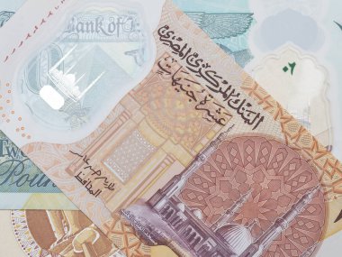Mısır 'ın yeni polimer para birimi banknotları yakın plan