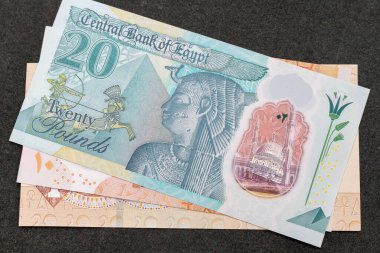 Mısır göletlerinin kapanışı: Pakistan - 07 Temmuz 2024.